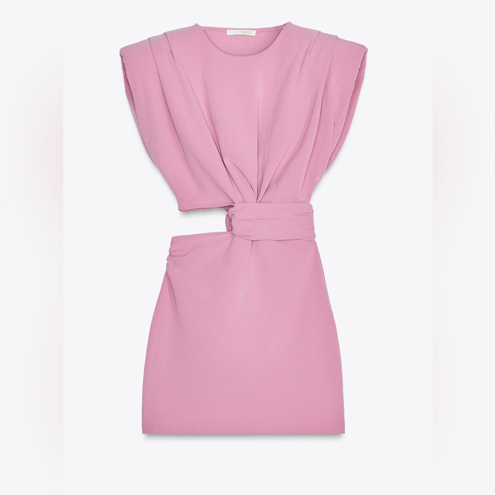 Zara Plum Cut Out Mini Dress 💜